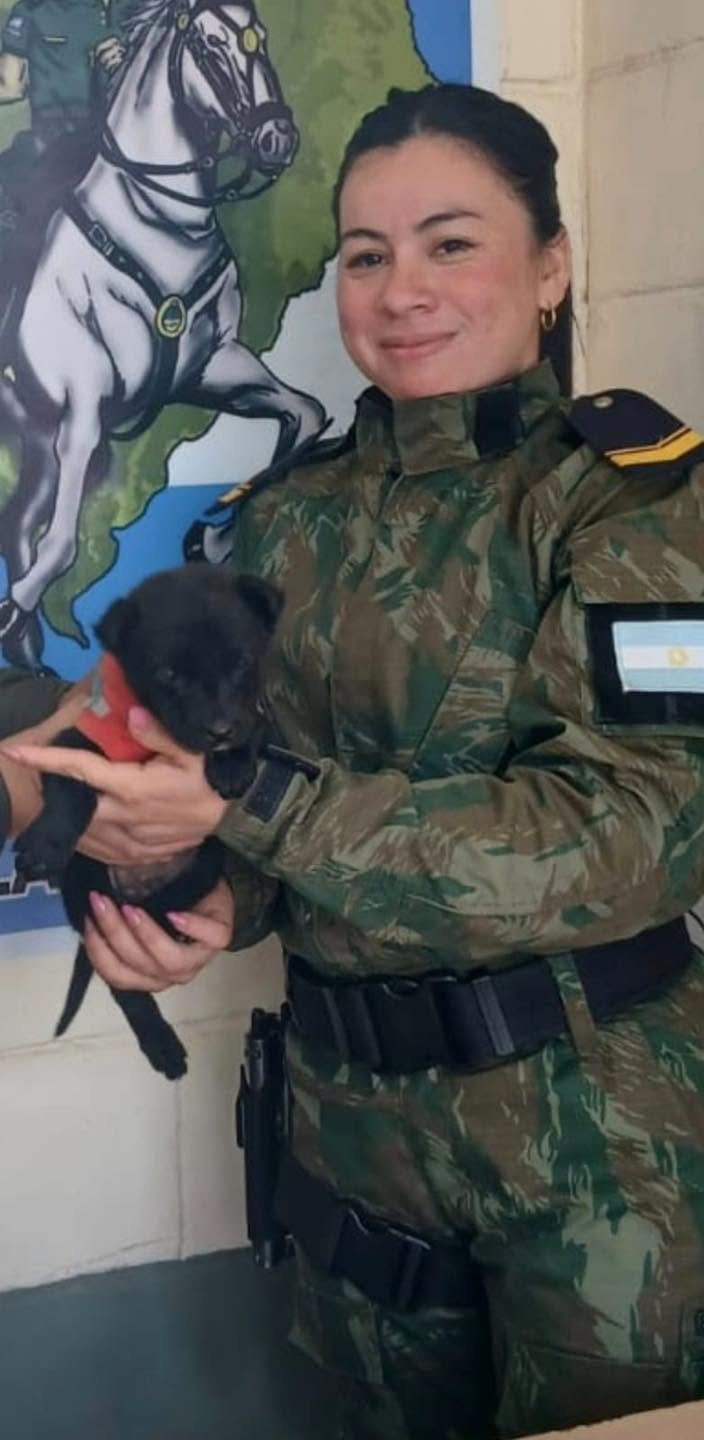 Cachorro rescatado por la Policía Rural de La Cruz