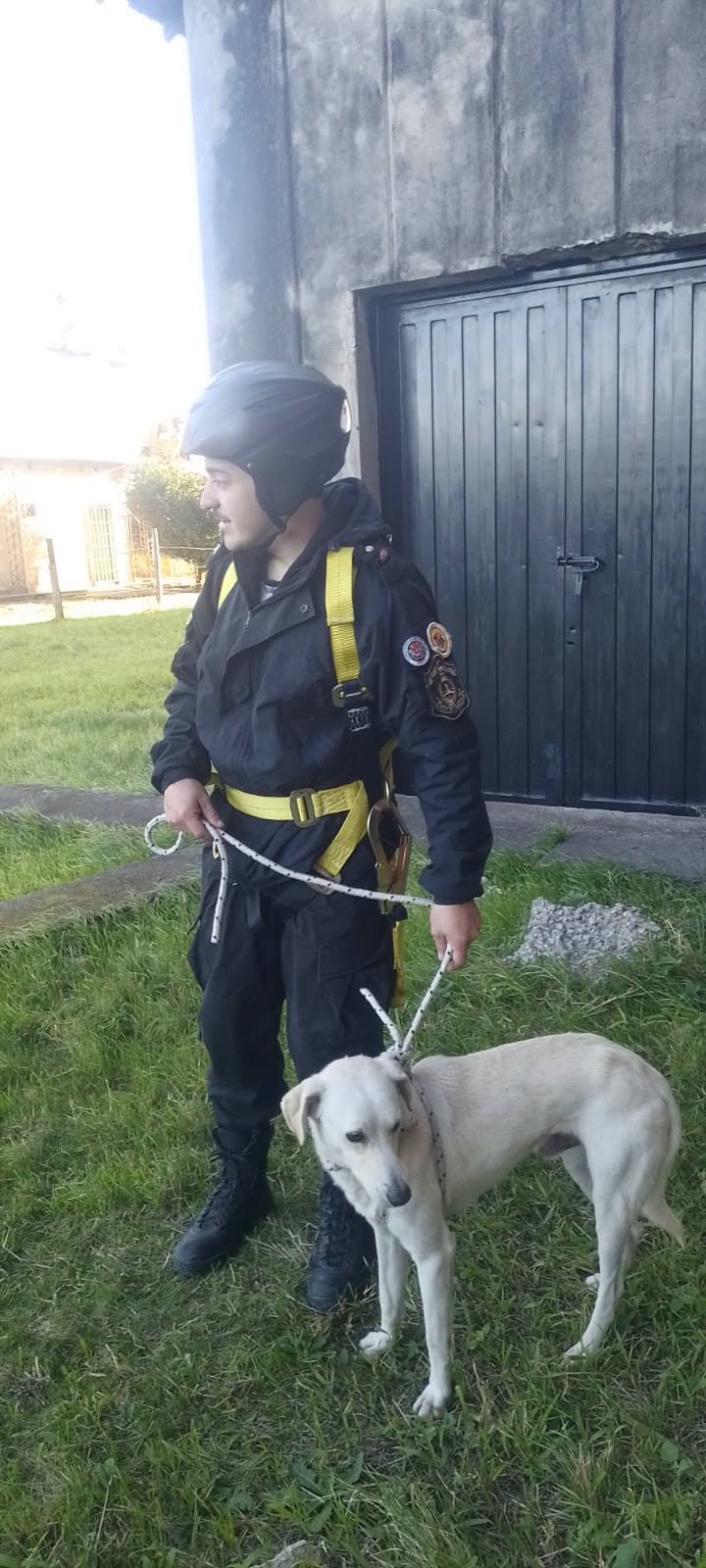 Perro rescatado por policía y bomberos en terraza de edificio en Corrientes