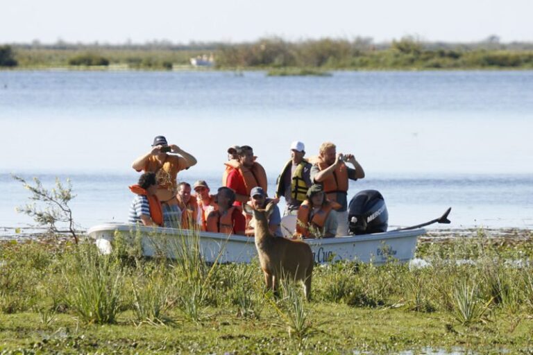 Paisaje de los esteros del Iberá en Corrientes