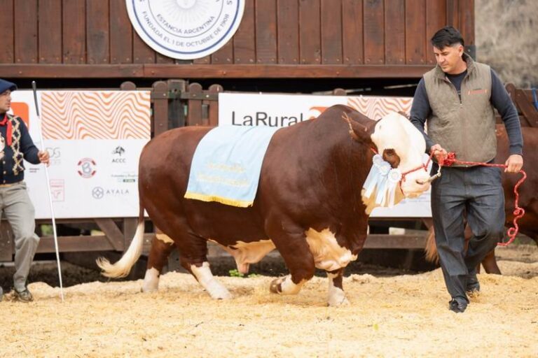Presentación de créditos Corrientes Potencia: Ganadería en la Exposición Rural de Corrientes