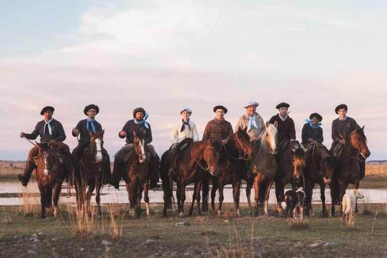 Caballos criollos en la Cabaña La Estrella