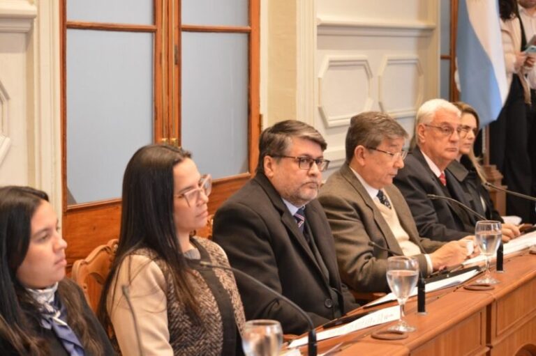 Sesión ordinaria del Concejo Deliberante de Corrientes