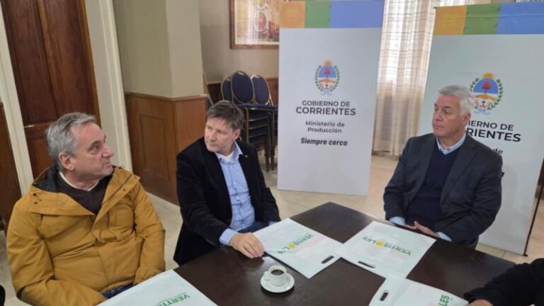 Campo de maíz en Corrientes con maquinaria agrícola