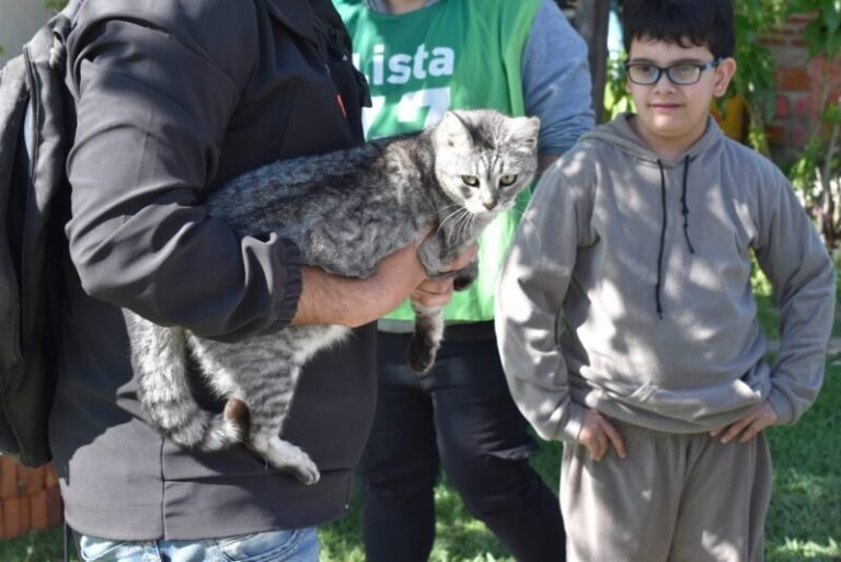 Vacunación de mascotas en Goya y Esquina