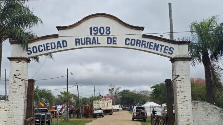 Ingreso de hacienda al predio de la Sociedad Rural de Corrientes durante la 90° Exposición Ganadera