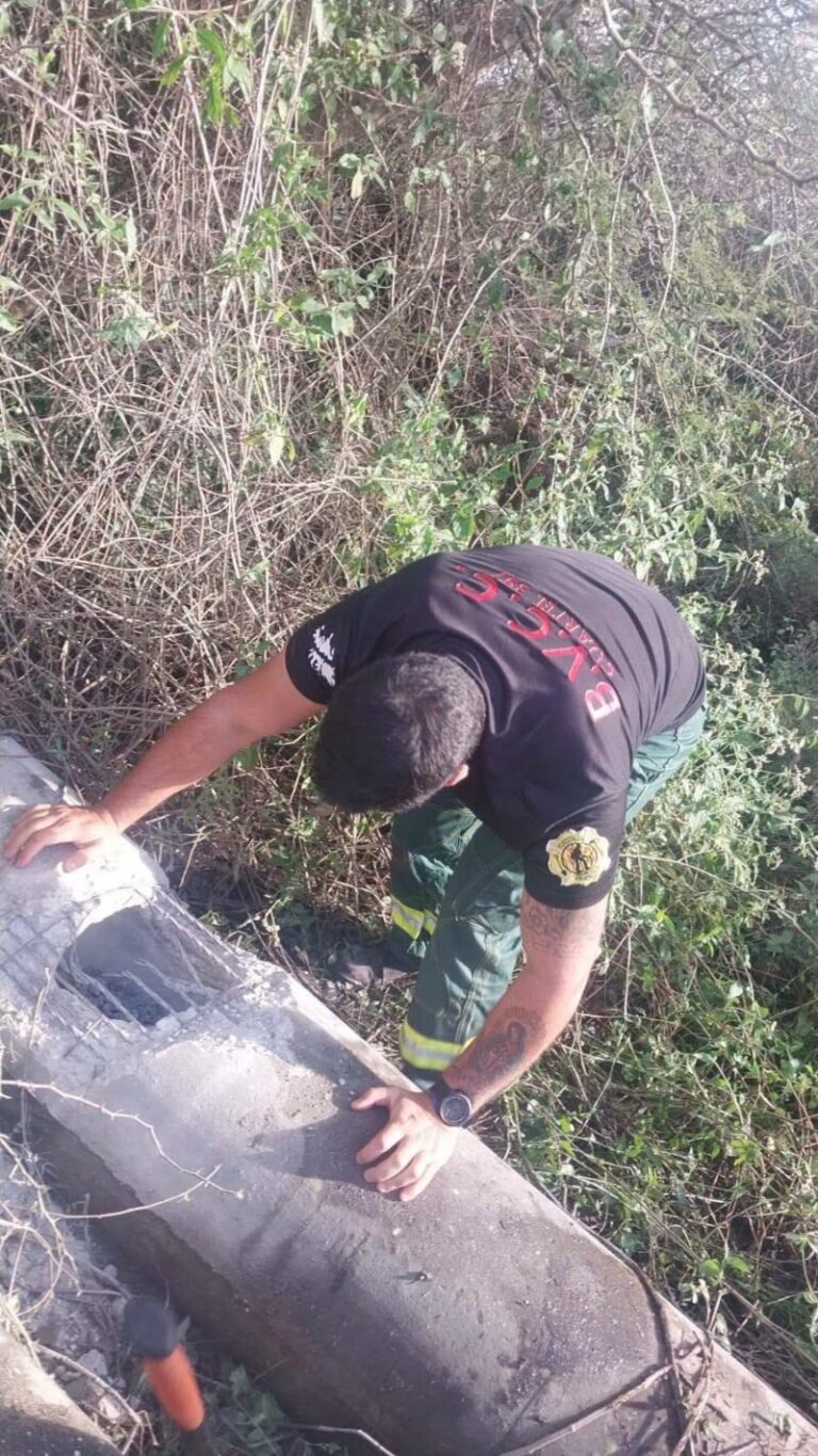 Bomberos Voluntarios de Corrientes durante el rescate de dos perros y un zorro atrapados en una columna de hormigón