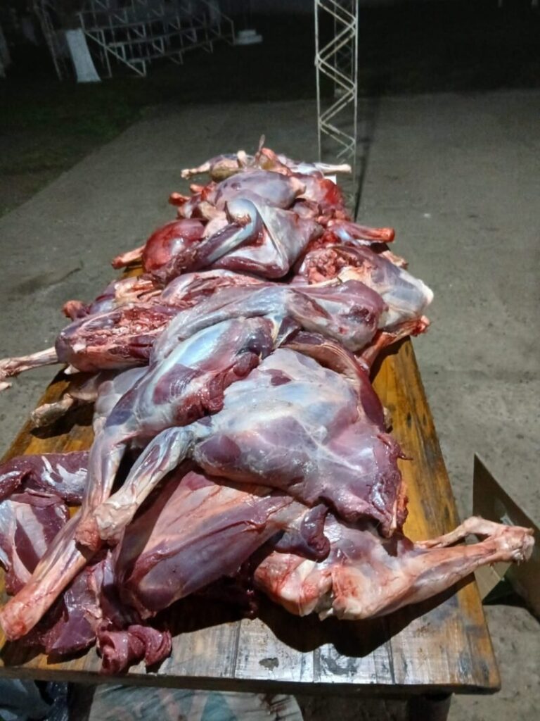 Carne de fauna silvestre secuestrada en Sauce