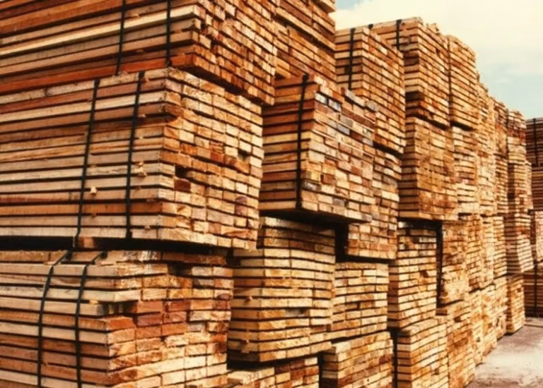 Puerto de Corrientes con cargamento de madera y arroz para exportación