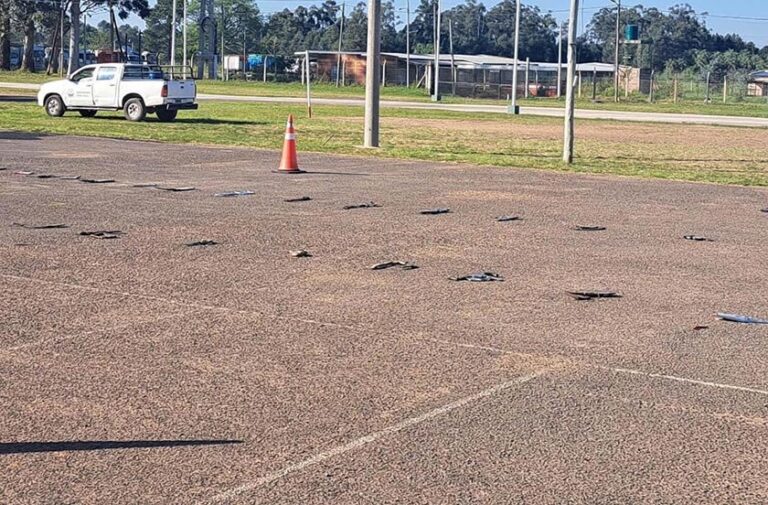 Funcionarios municipales durante la destrucción de caños de escape y ciclomotores en el polideportivo de Bella Vista