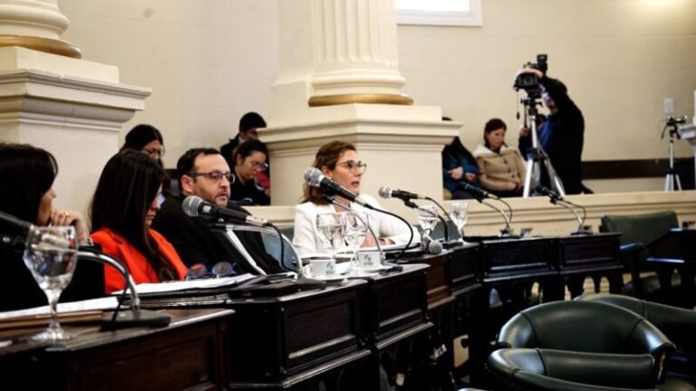 Sesión ordinaria en la Cámara de Diputados de Corrientes