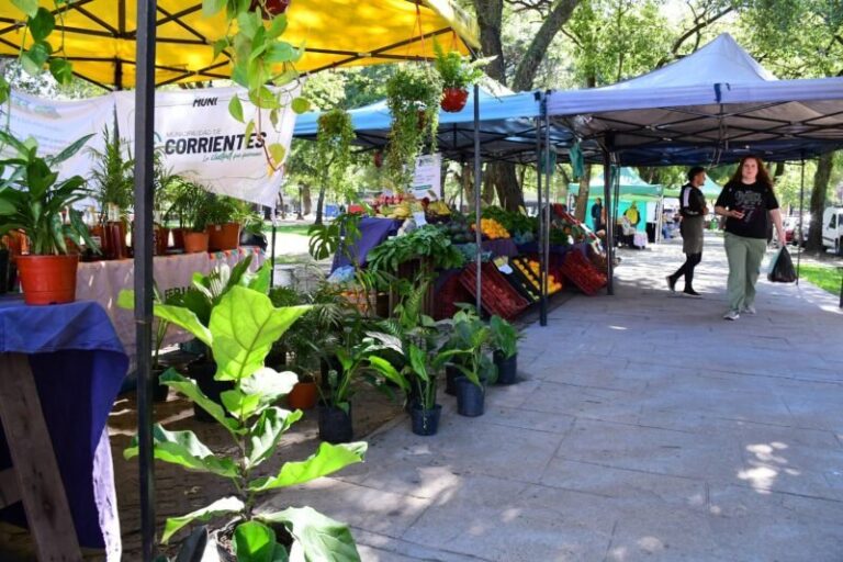 Puesto de feria con productos frescos y artesanías en Corrientes