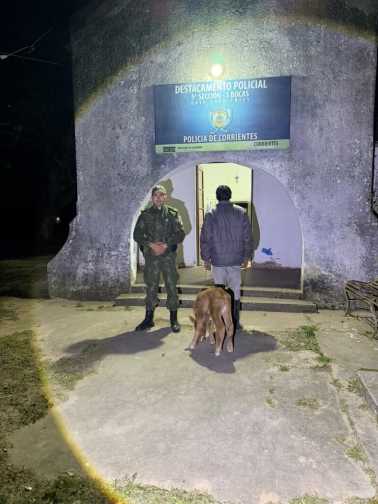 Control vehicular en Goya donde se halló un ternero oculto en un automóvil