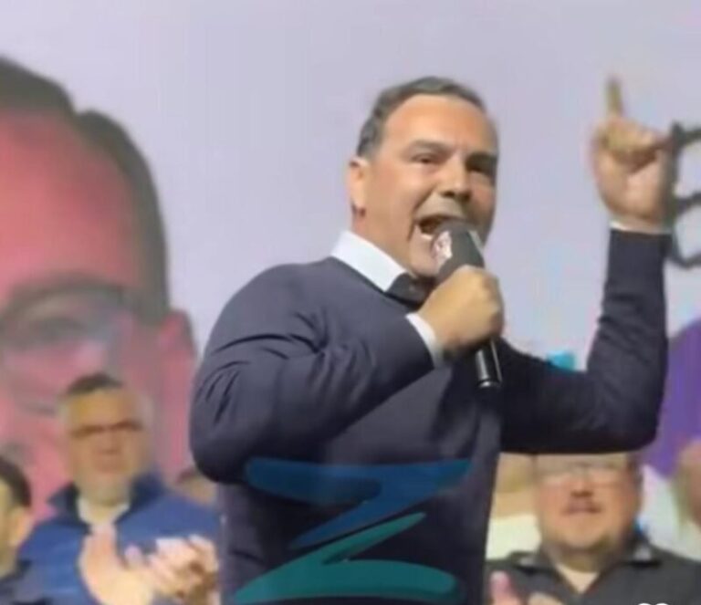 Gustavo Valdés, titular de la UCR de Corrientes, durante un plenario radical