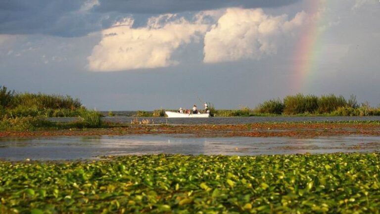 Esteros del Iberá, Corrientes