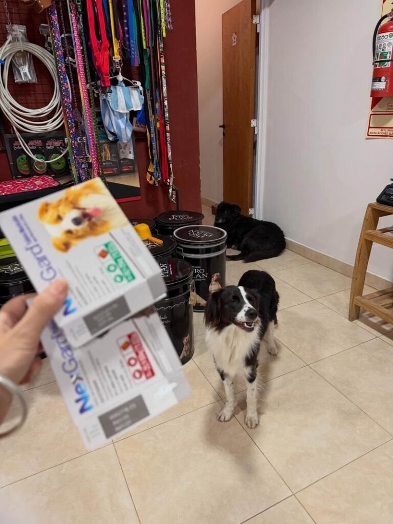 Veterinario atendiendo a una mascota en una clínica de Corrientes