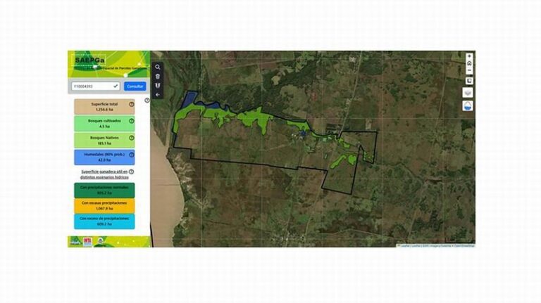 Interfaz de la plataforma digital SaepGa para análisis de parcelas ganaderas en Corrientes