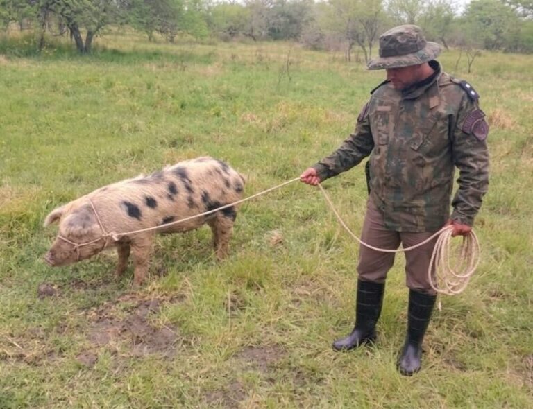 Policía Rural durante allanamiento en Sauce