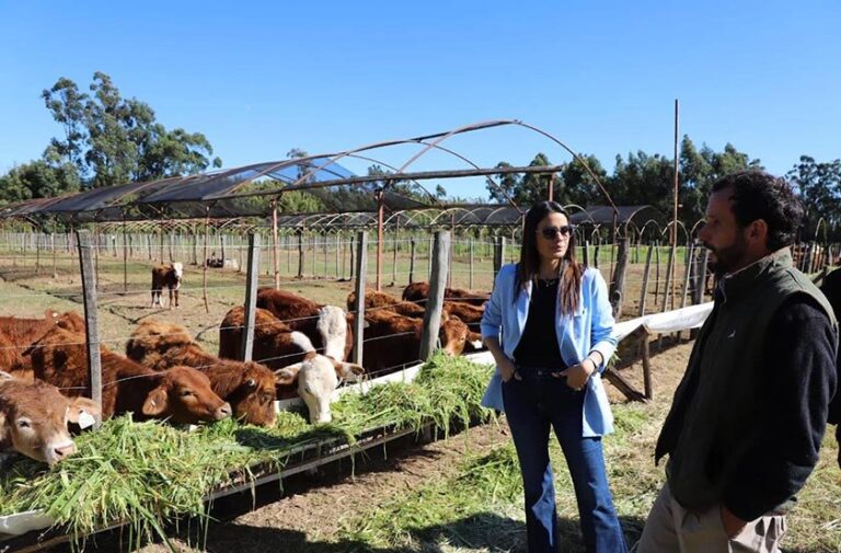 Autoridades de Bella Vista durante la recorrida por un emprendimiento ganadero en la zona de Tres de Abril