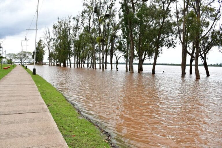 Crecida del río Uruguay en la costa de Corrientes