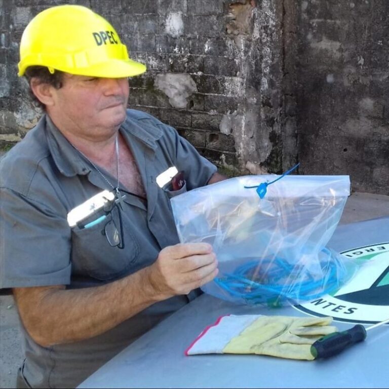 Operarios de la Dpec realizando tareas de mantenimiento en redes eléctricas de media tensión
