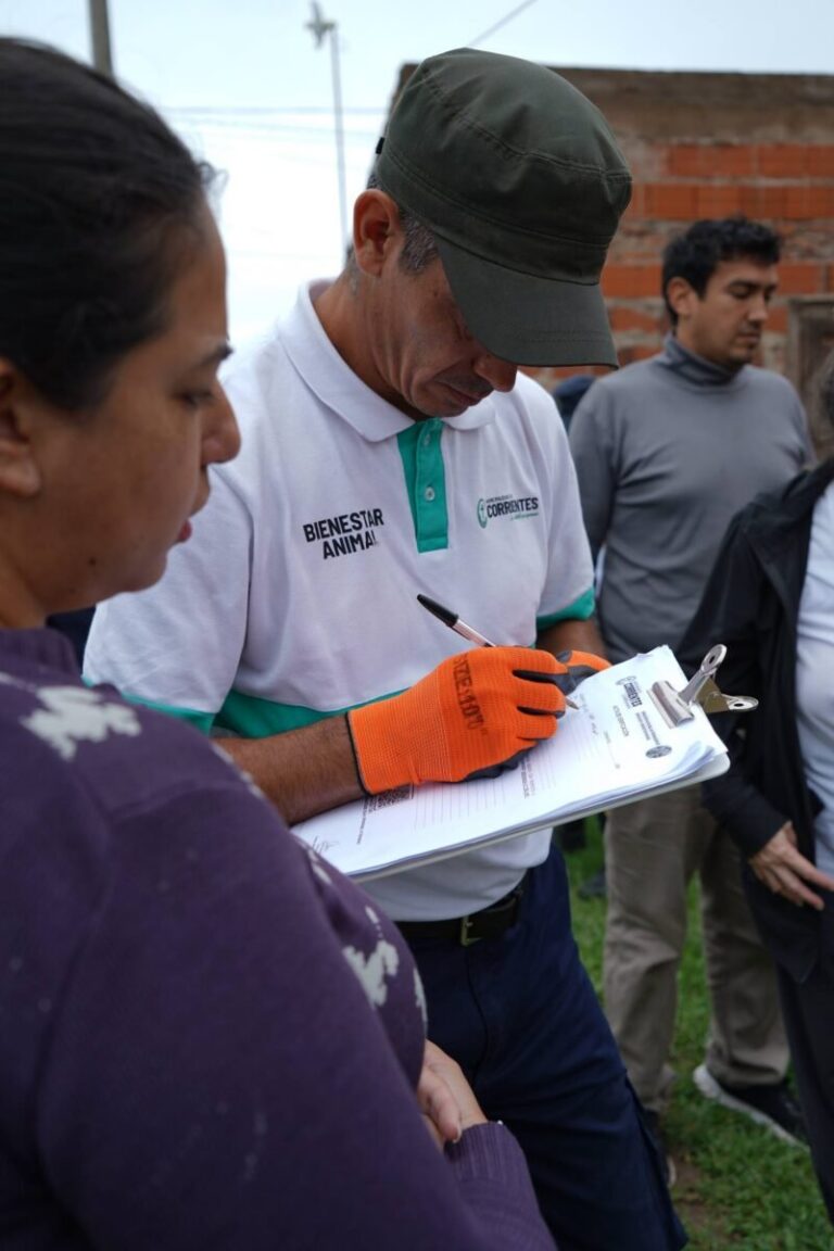 Perros rescatados en operativos de bienestar animal en Corrientes