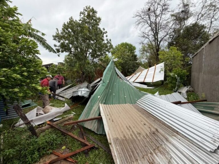 Equipos municipales retiran árboles caídos tras el temporal en Curuzú Cuatiá